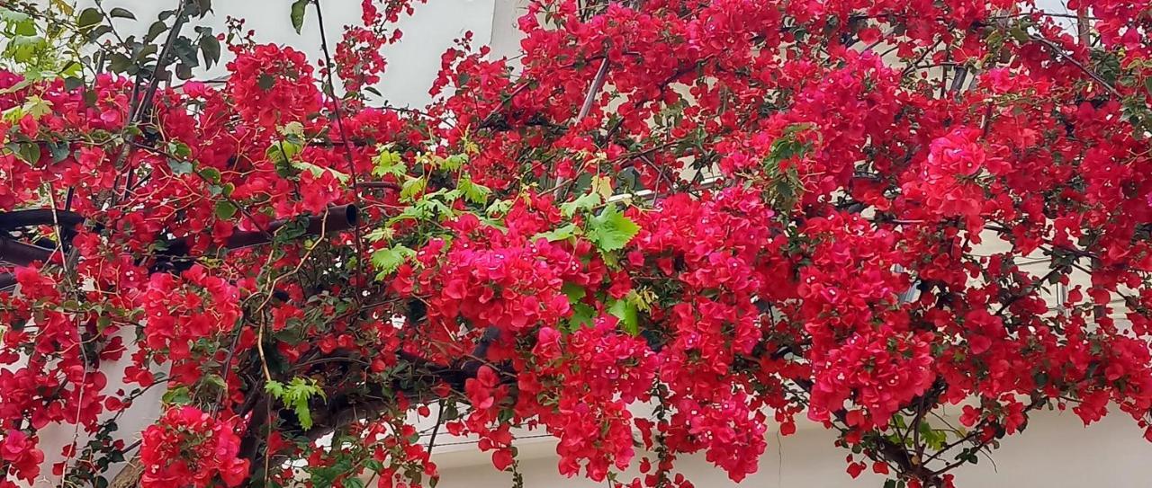 Stamatias Home, Fully Equipped Cottage 5 Minutes From The Sea La Canée Extérieur photo