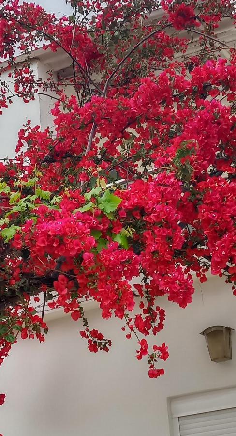 Stamatias Home, Fully Equipped Cottage 5 Minutes From The Sea La Canée Extérieur photo